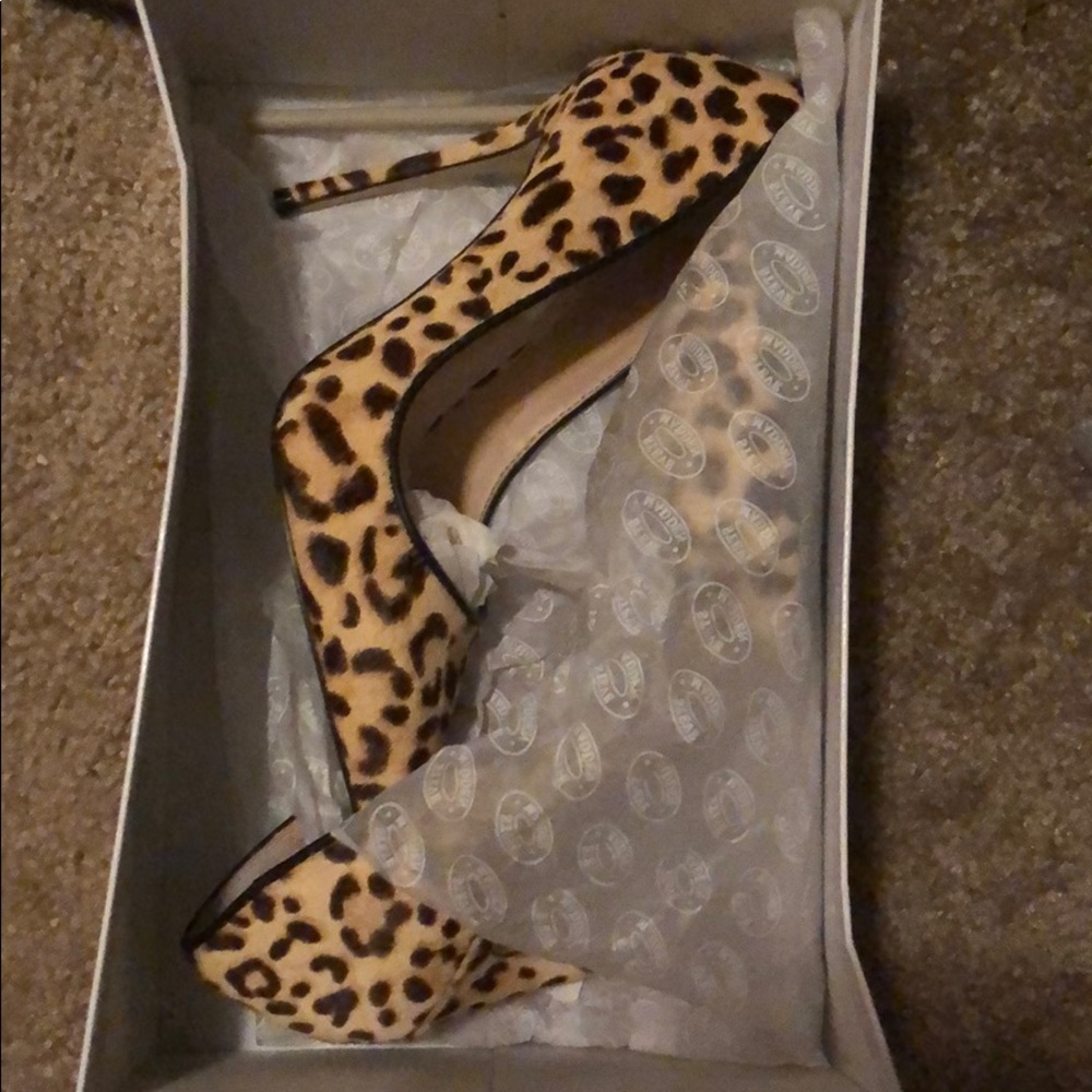 NEW! Steve Madden Diasie-L Leopard Pumps